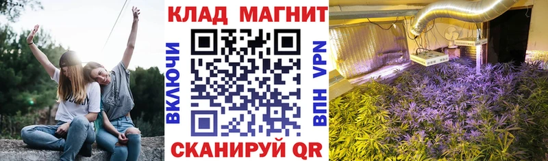Наркошоп Череповец МАРИХУАНА COCAIN КЕТАМИН Гашиш МЕТАДОН