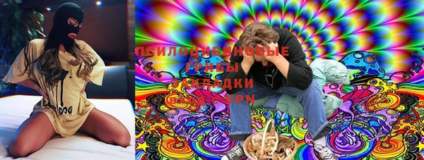 ПСИЛОЦИБИНОВЫЕ ГРИБЫ Кинешма