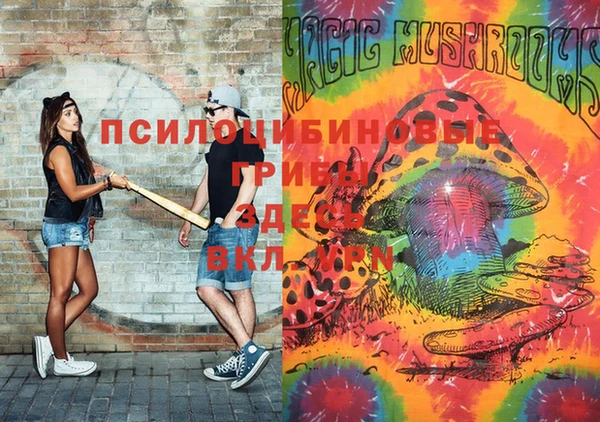 ПСИЛОЦИБИНОВЫЕ ГРИБЫ Кинешма