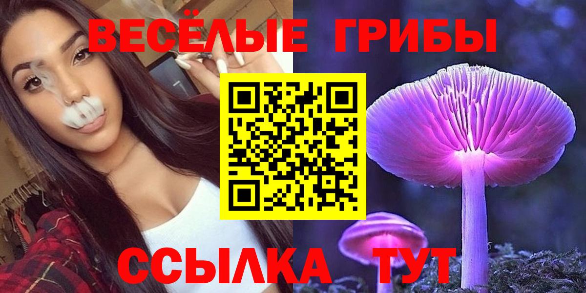 Галлюциногенные грибы GOLDEN TEACHER  Вход с VPN  Череповец 