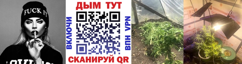 Конопля планчик  даркнет сайт  гидра сайт  Череповец 
